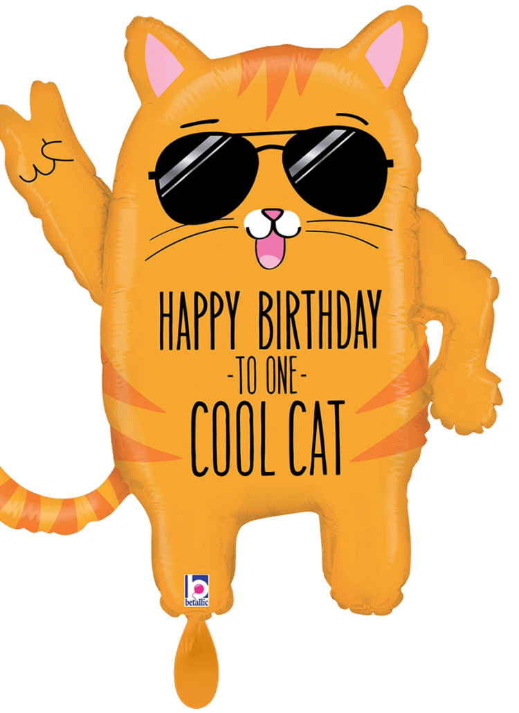 Happy Birthday to one cool cat Geburtstagsballon